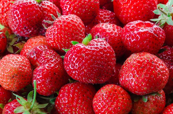 Es ist eine Menge Erdbeeren — Stockfoto