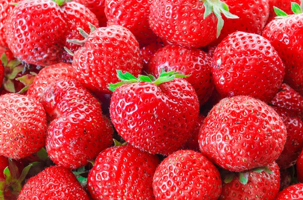 It is a lot of strawberry berries — Stock Photo, Image