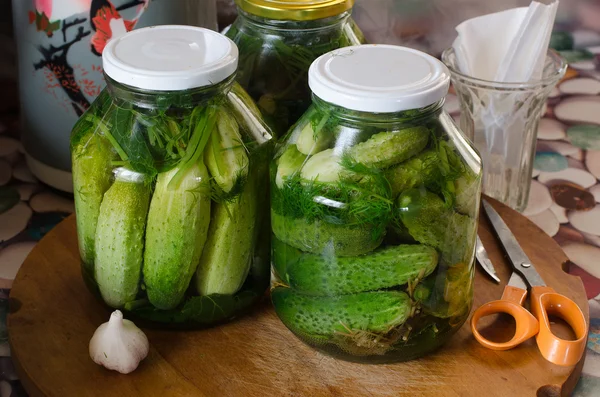 Conservation of fresh cucumbers — Stock Photo, Image