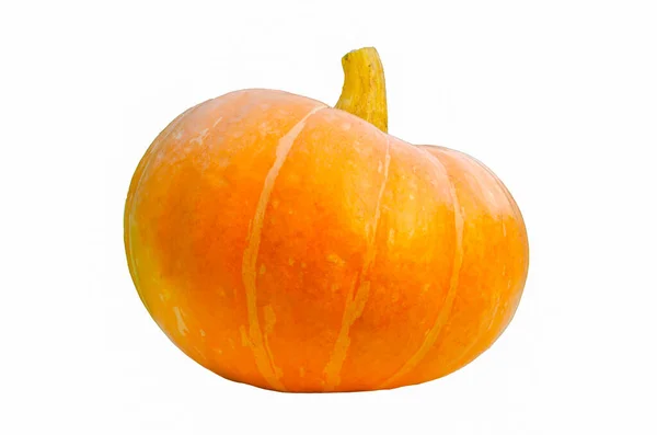 Grande Zucca Arancione Sfondo Bianco — Foto Stock