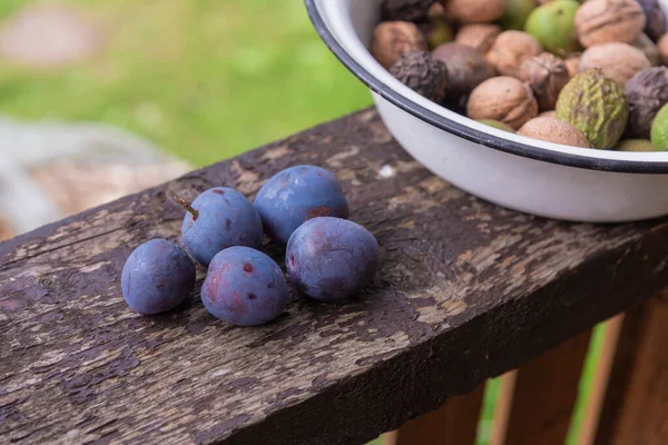 Ciruelas Negras Del Jardín Tazón Nueces Barandilla Terraza Una Casa —  Fotos de Stock