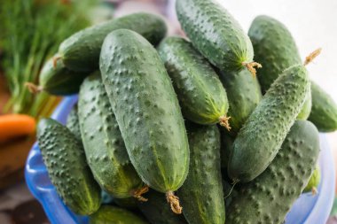 Bahçe yatağından taze salatalıklar. Mutfak masasındaki kasede.