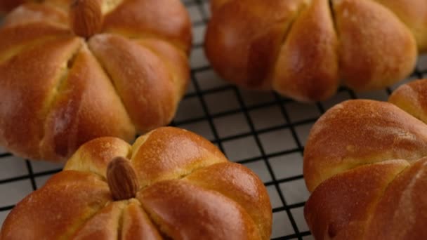 Kürbisbrötchen kochen. Fertige Kürbisbrötchen auf einem Drahtgestell, in Großaufnahme. Herbstkonzept. Frühstücksbrötchen. Frische Brötchen. — Stockvideo