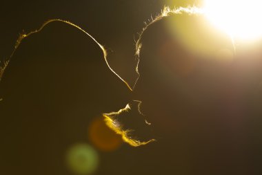 İnsanın en iyi dostu.