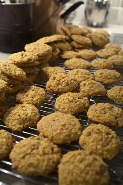 Soubory cookie — Stock fotografie