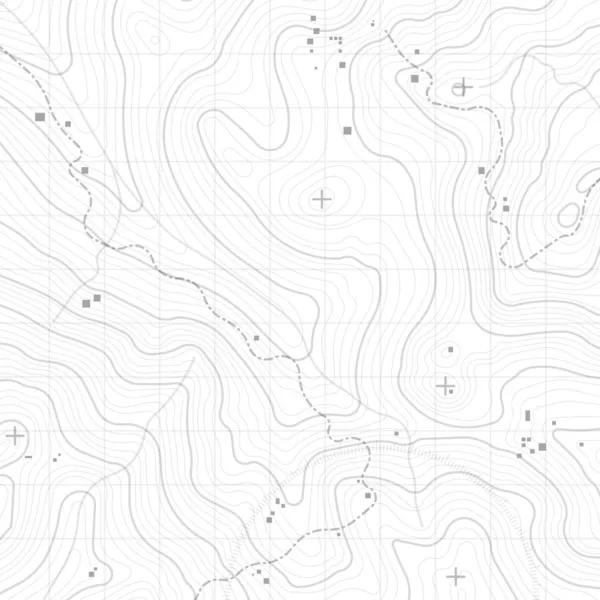 Contexto Topográfico —  Vetores de Stock