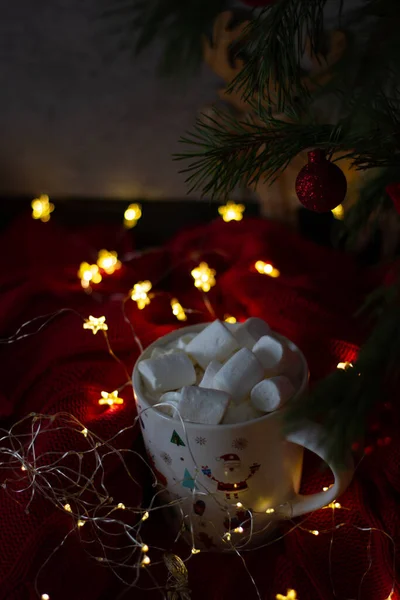 Winter Still Life Rustic Style — Stock Photo, Image