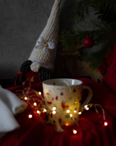 Winter Still Life Rustic Style — Foto de Stock