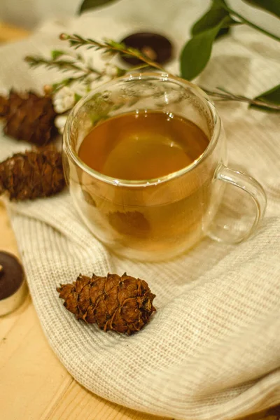 Tisane Chaude Pour Santé — Photo