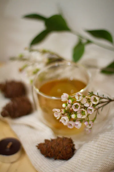 Hot Herbal Tea Health — Stockfoto