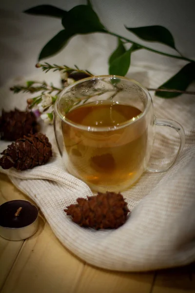 Tisane Chaude Pour Santé — Photo