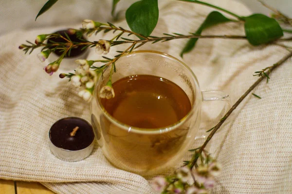 Hot Herbal Tea Health — Stockfoto