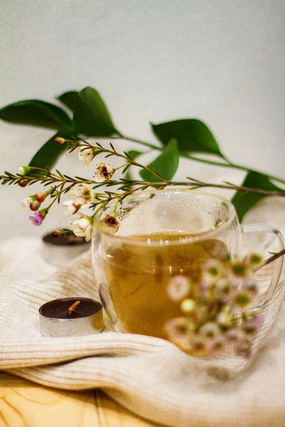 Hot Herbal Tea Health — стоковое фото