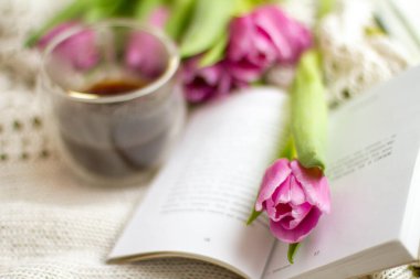 Pencere defterinde hala hayat var.