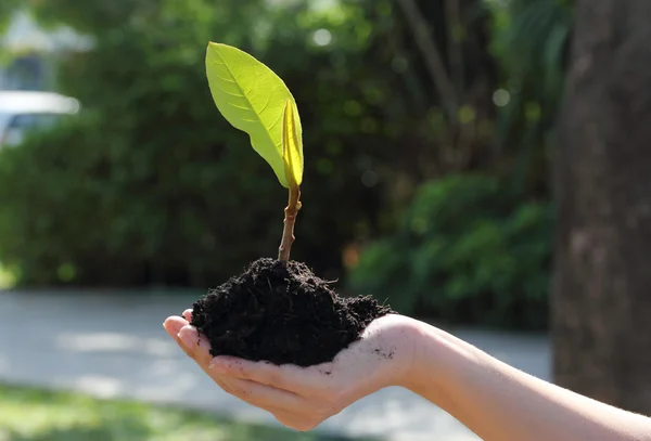 Handhalteranlage — Stockfoto