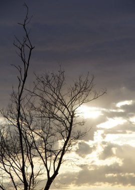 geç öğleden sonra