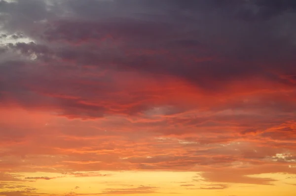 Intense sunset — Stock Photo, Image