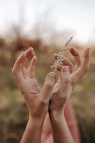 Female Crossed Hands Reaching Sky — Stockfoto