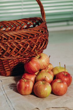 Masanın üzerinde bir sürü olgun elma var. Tatlı ve sulu meyveler. Taze elma. Doğal yiyecek.