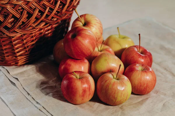 Different Types Ripe Apples Laying Table Bunch Sweet Juicy Fruits — Stock Photo, Image