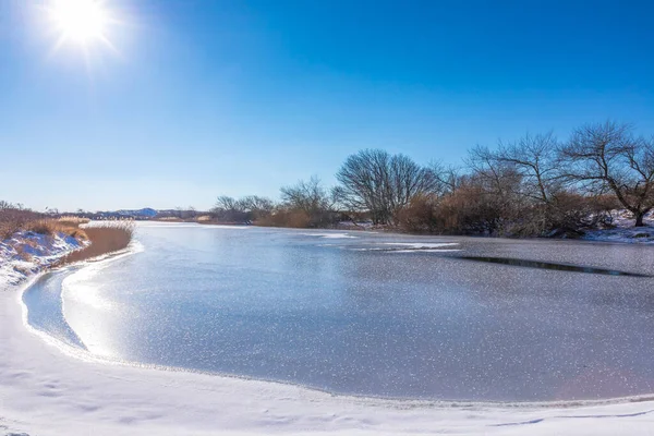 Amsterdamse 'deki karlı ve buzlu kış manzarası Waterleidingduinen, berrak mavi gökyüzü.