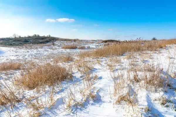 Kış mevsiminde mavi gökyüzünün altında tepeler ve çayırlar olan karlı bir manzara. Alım Parkı Hayvanat Bahçesi, Hollanda