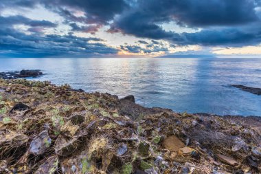 Tenerife kanarya adasında kayalar ve mavi sularla güzel bir gün batımı