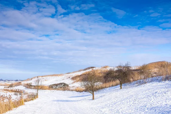 Снежный Пейзаж Холмами Лугами Голубым Небом Зимний Сезон Buytenpark Zoetermeer — стоковое фото