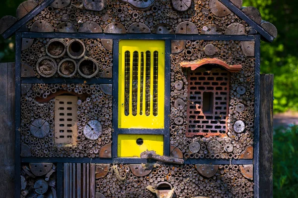 Hôtel Insectes Artificiels Dans Une Forêt Verdoyante Des Fleurs Structure — Photo