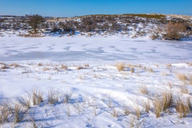 Amsterdamse 'deki karlı ve buzlu kış manzarası Waterleidingduinen, berrak mavi gökyüzü.
