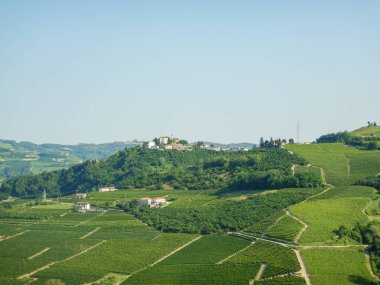 Neive, Piedmont, İtalya yakınlarındaki Batı Langhe 'ye bakın.