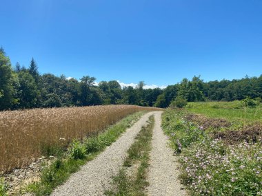 Belbo kaynaklarının doğal rezervi Camerana, Piedmont - İtalya