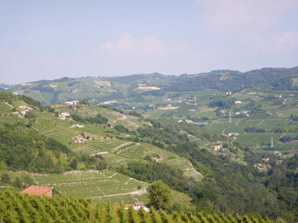 Vista Sulle Langhe Occidentali Vicino Neive Piemonte Italia — Foto Stock