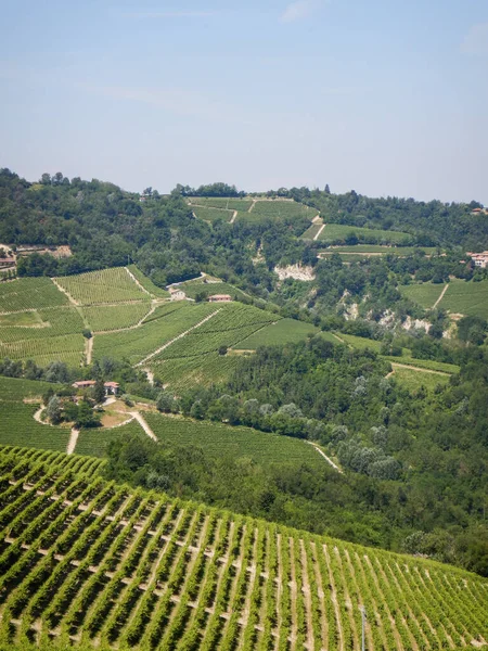 Hills Langhe Unescos Kulturarv Piemonte Italien — Stockfoto