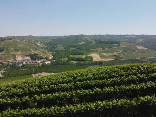 Langhe Colinas Con Viñedos Alrededor Cerca Serralunga Alba Piamonte Italia —  Fotos de Stock