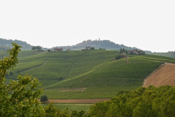 Wzgórza Langhe Winnicami — Zdjęcie stockowe