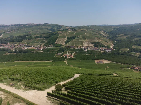 Wzgórza Winnicami Langhe Między Serralunga Alba Castiglion Falletto Piemont Włochy — Zdjęcie stockowe