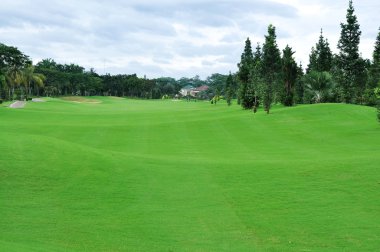 Golf Sahası