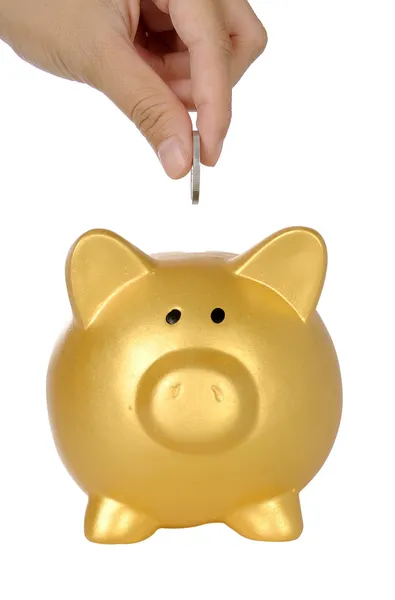 Hand Put Coin Into Piggy Bank — Stock Photo, Image