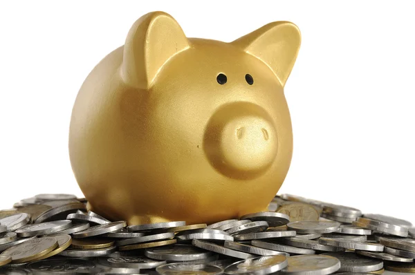 Golden Piggybank With Coins — Stock Photo, Image