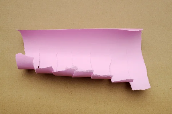 Torn Pink Paper Scraps — Stock Photo, Image
