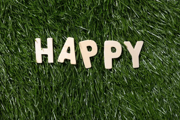 Happy Wooden Sign On Grass — Stock Photo, Image