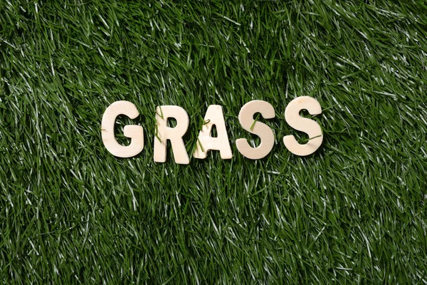 Gras houten teken op gras — Stockfoto