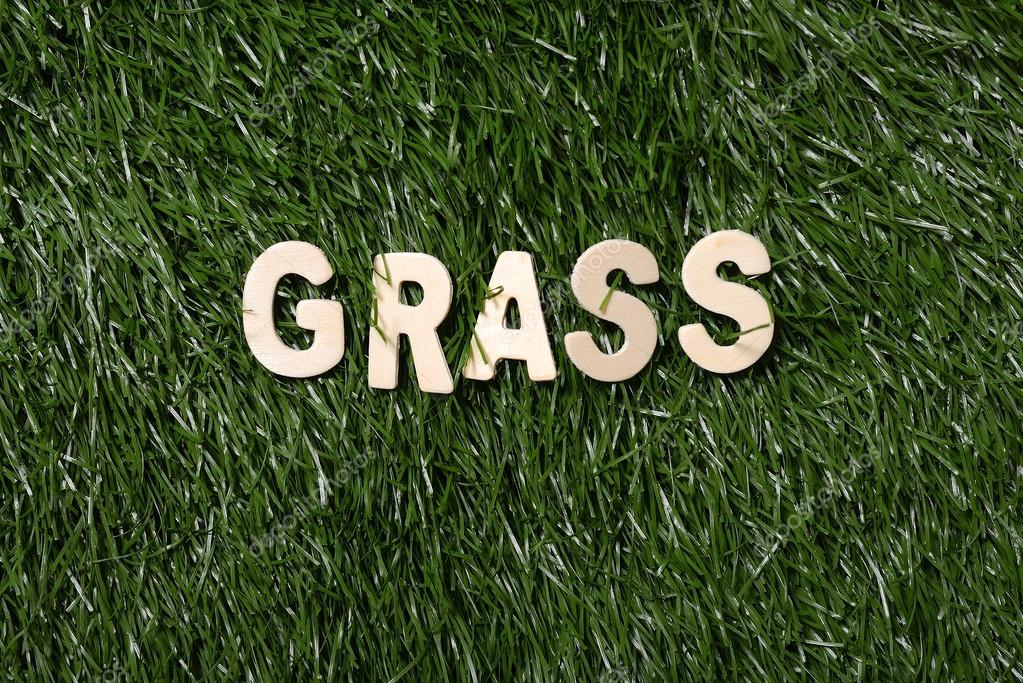 Grass Wooden Sign On Grass — Stock Photo © leolintang #44428201