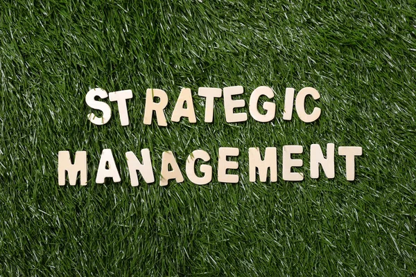 草の上の戦略的マネジメント木製看板 — ストック写真