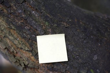 ağaç üzerinde boş sarı Not