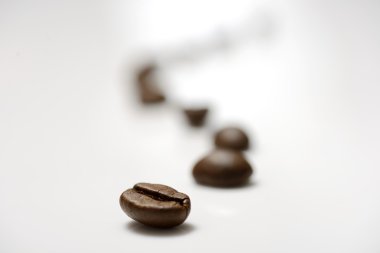 kahve çekirdekleri hatları