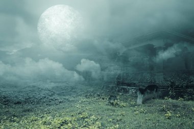 Mezarlıktaki mezar taşları dolunay arkaplanlı. Cadılar Bayramı konsepti