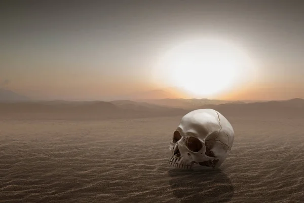 Human Skull Sand Dune Dramatic Scene Background — Stock Photo, Image