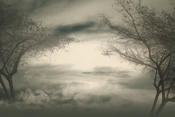 Призрачный лес с туманом и драматическим фоном сцены. Концепция Хэллоуина